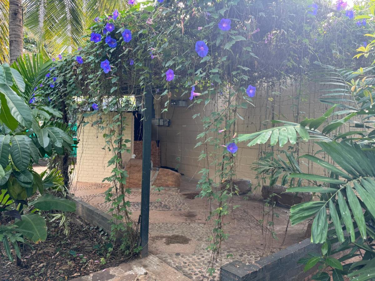 העיר בנגלור Chikoo Farm Inn מראה חיצוני תמונה